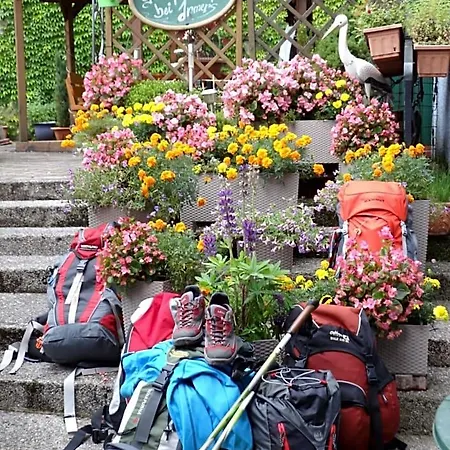 Bed & Breakfast Fruehstueckspension Irmer 3*