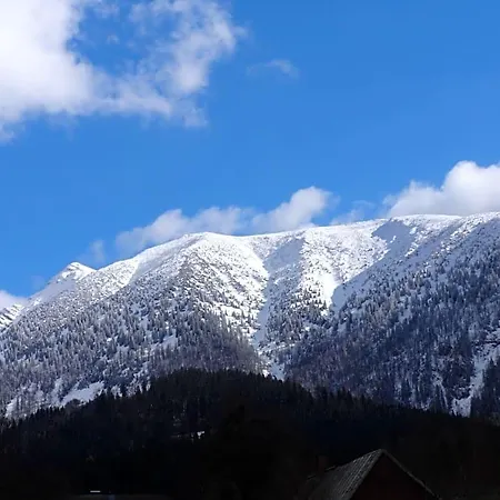 Bed & Breakfast Fruehstueckspension Irmer