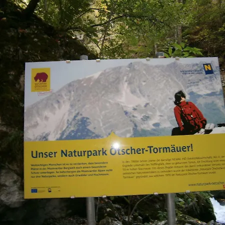 Bed and Breakfast Fruehstueckspension Irmer