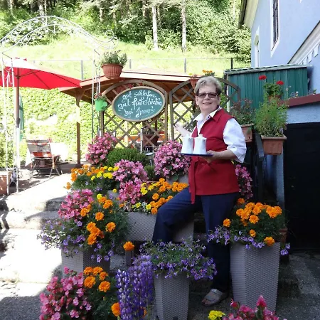 Couette-café Fruehstueckspension Irmer 3*