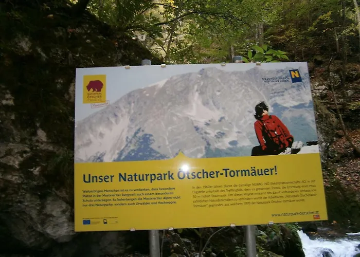 Bed & Breakfast Fruehstueckspension Irmer