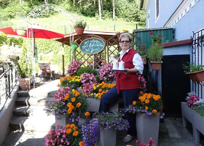 Bed & Breakfast Fruehstueckspension Irmer 3*