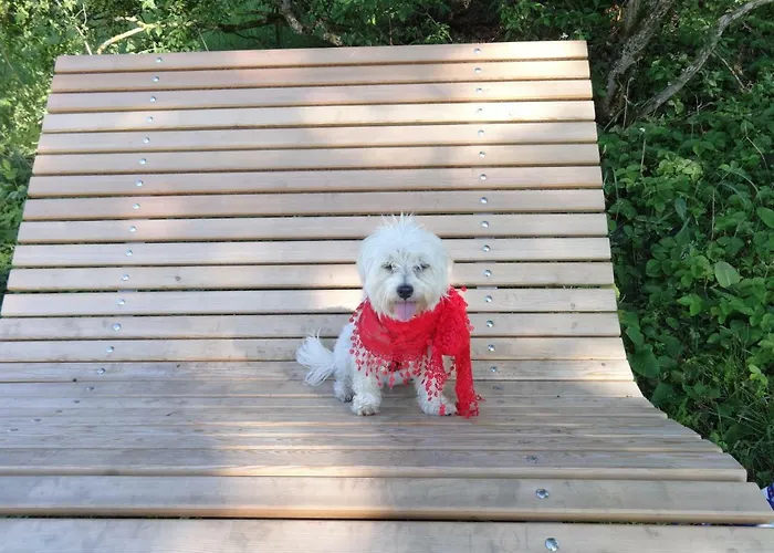 Bed & Breakfast Fruehstueckspension Irmer