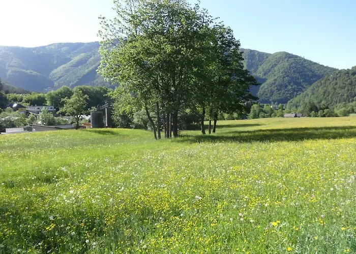 Fruehstueckspension Irmer Bed & Breakfast